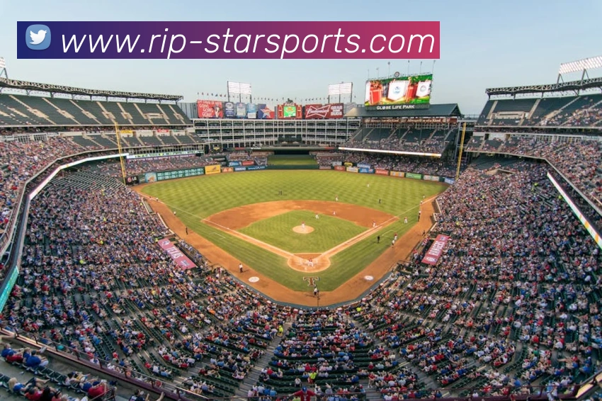 星空体育APP平台生态图